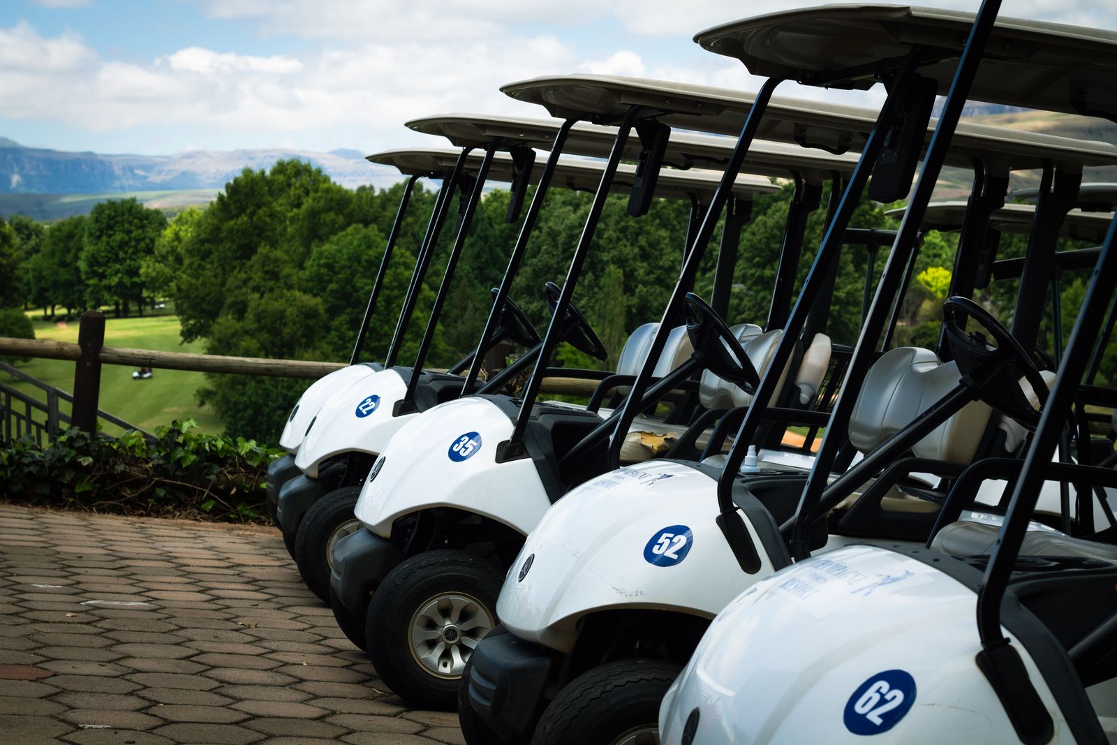 Golf Cart Customization - Cart Character